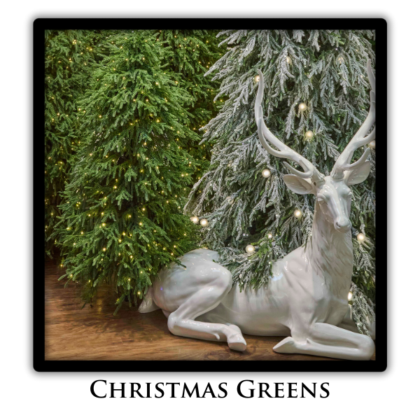 Christmas Greens