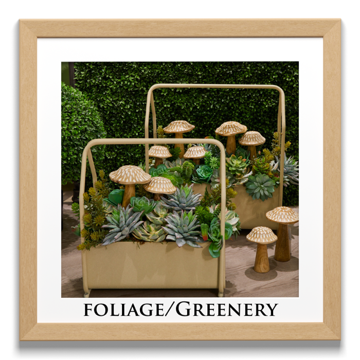 Foliage/Greenery