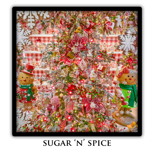 Sugar 'N' Spice
