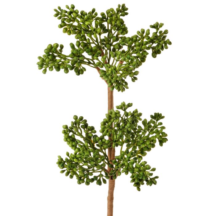 mtf42