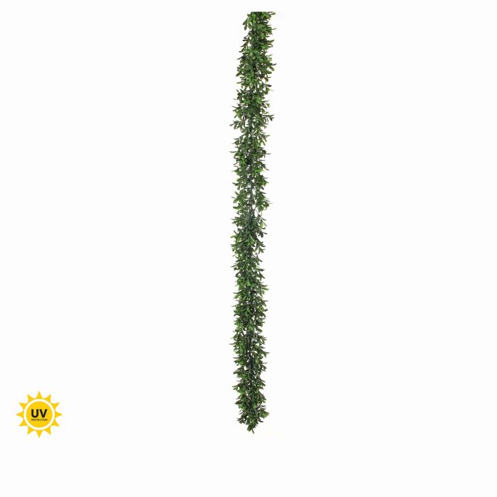 mtf42