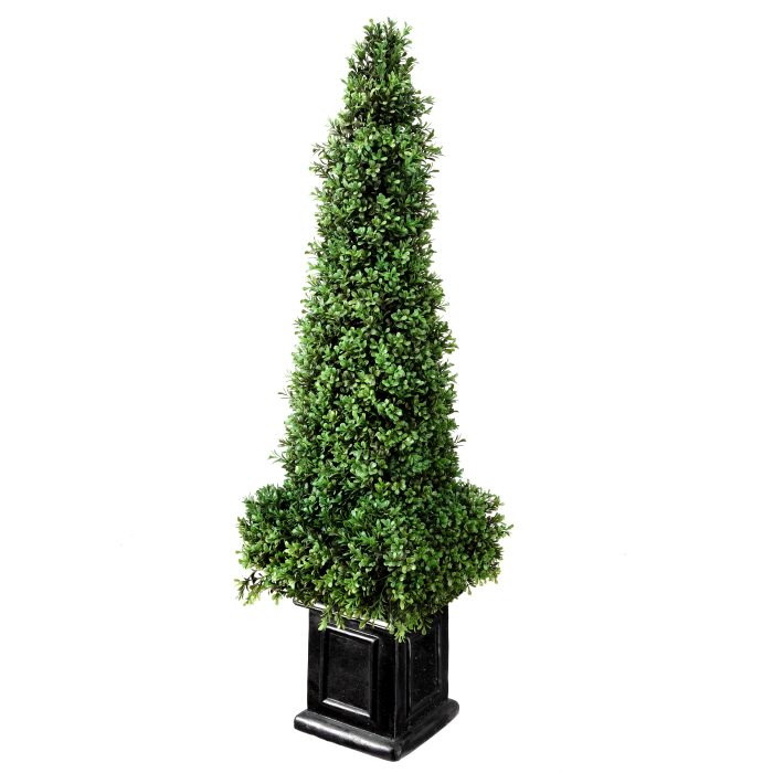 mtf42