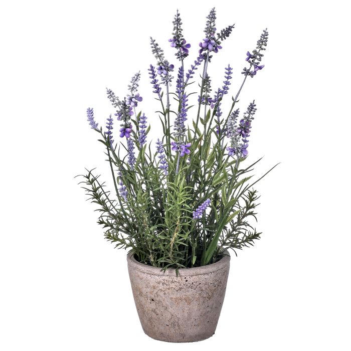 mtf32lla