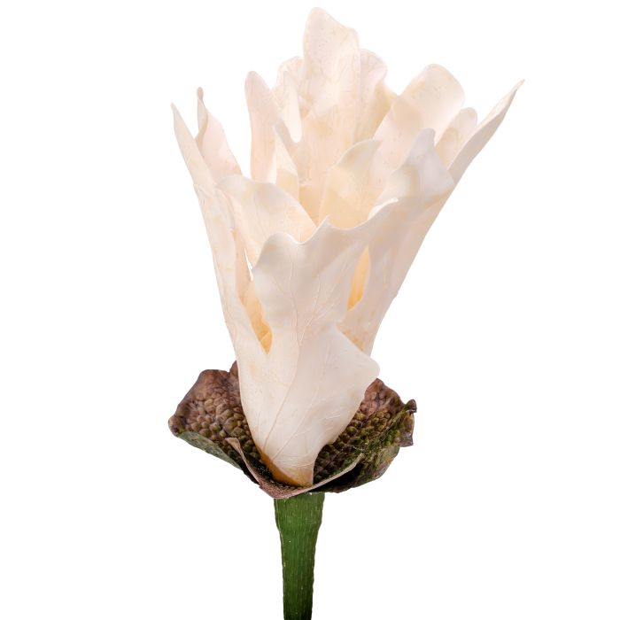 MTF24354