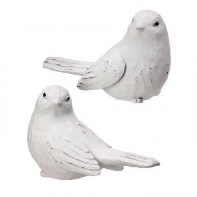 General: Birds / Bugs