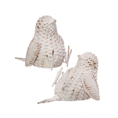 General: Birds / Bugs