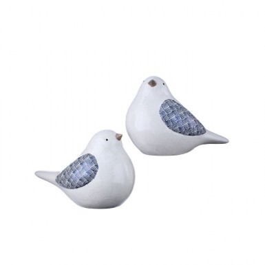 General: Birds / Bugs