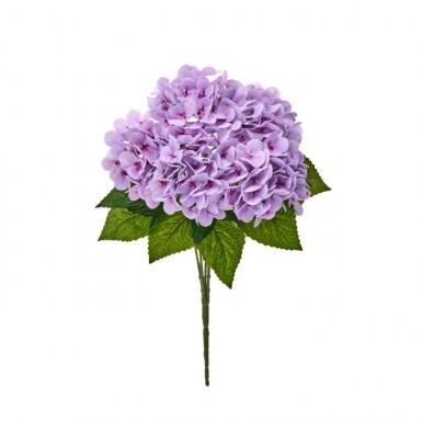 Flowers: Bushes