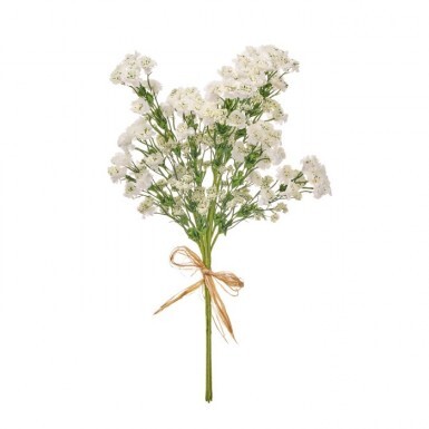 Flowers: Bushes