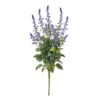 Flowers: Bushes