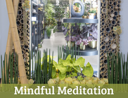 Showroom Mindful Meditation