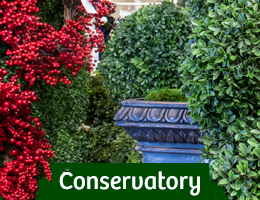 Showroom Conservatory