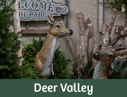 Showroom Deer Valley