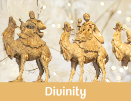 Showroom Divinity