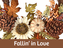 Showroom Fallin in' Love