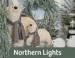 Showroom Northern Lights