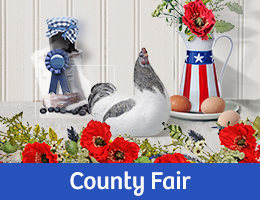 Showroom County Fair