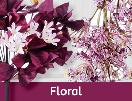 Showroom Floral